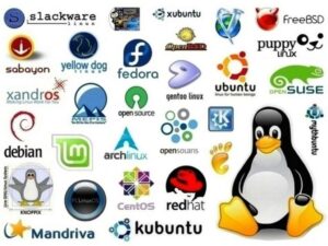 Cross Platform Support, Linux Distributions, Linux Friendly, 